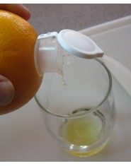 Odšťavňovač citrusů